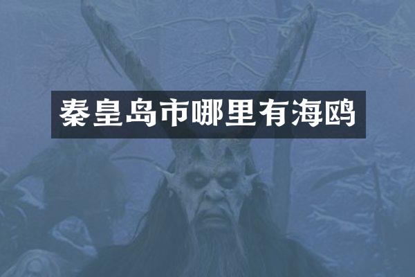 秦皇岛市哪里有海鸥