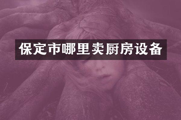 保定市哪里卖厨房设备