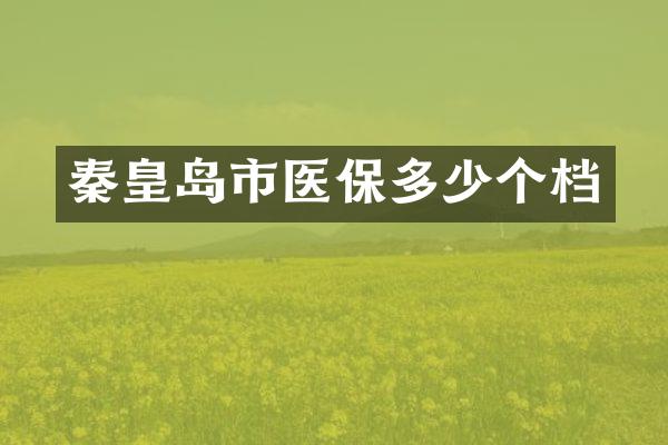 秦皇岛市医保多少个档
