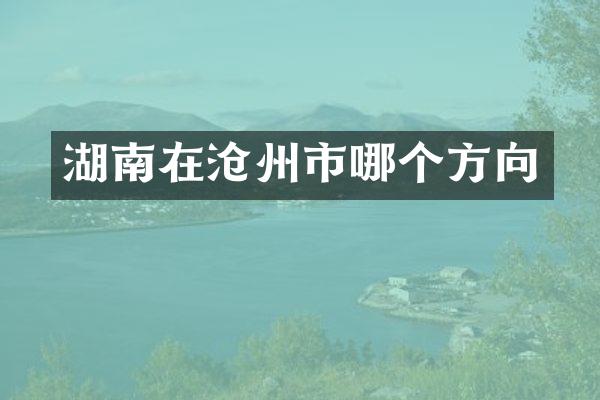 湖南在沧州市哪个方向