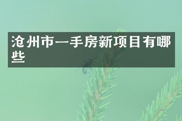 沧州市一手房新项目有哪些