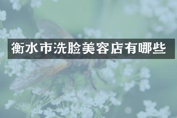 衡水市洗脸美容店有哪些