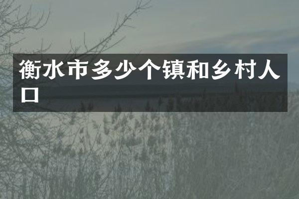 衡水市多少个镇和乡村人口