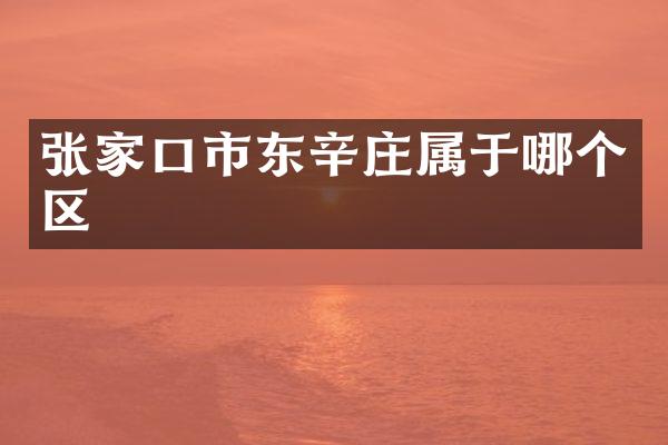 张家口市东辛庄属于哪个区