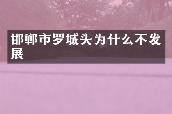 邯郸市罗城头为什么不发展