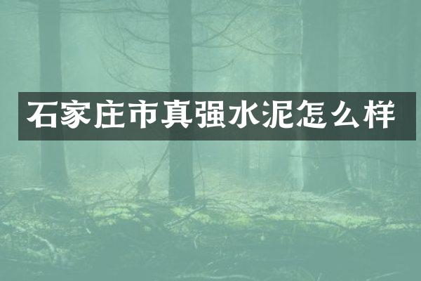 石家庄市真强水泥怎么样