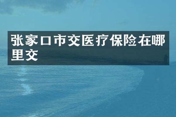 张家口市交医疗保险在哪里交