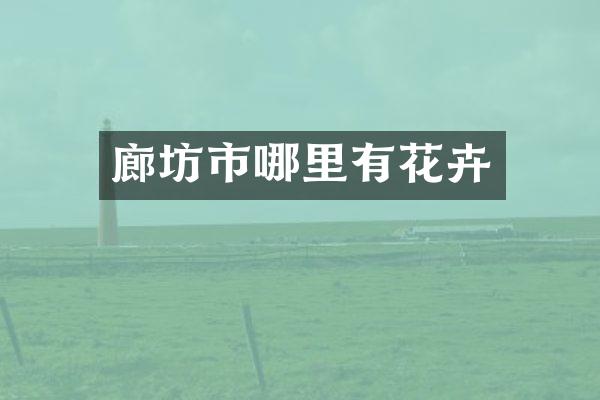 廊坊市哪里有花卉