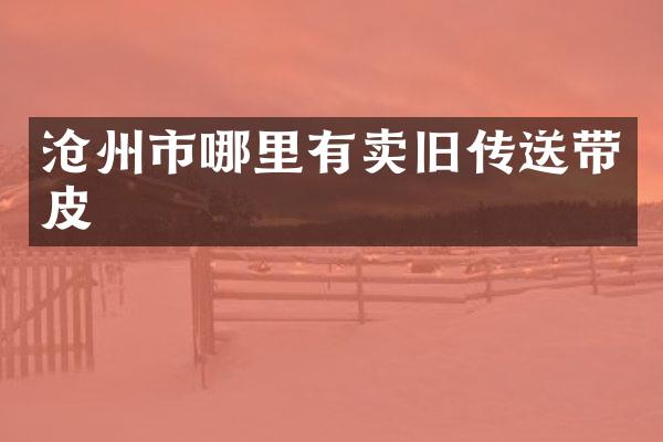 沧州市哪里有卖旧传送带皮