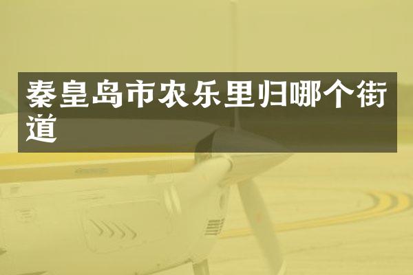 秦皇岛市农乐里归哪个街道