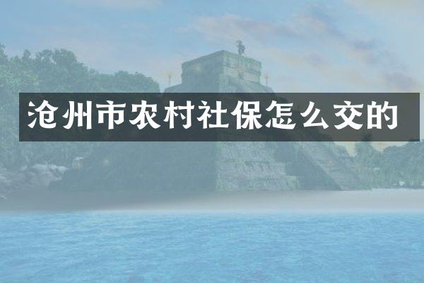 沧州市农村社保怎么交的