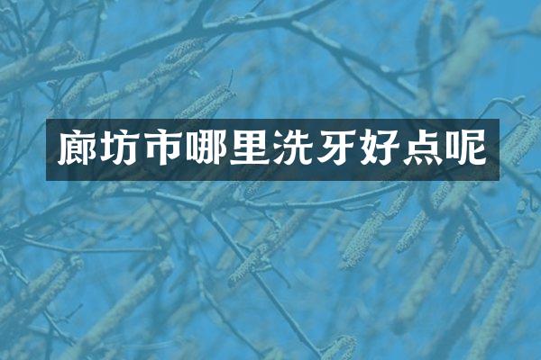 廊坊市哪里洗牙好点呢