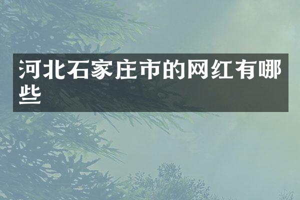 河北石家庄市的网红有哪些