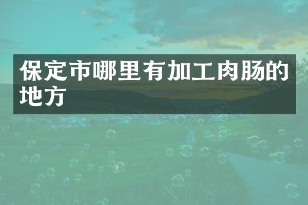 保定市哪里有加工肉肠的地方