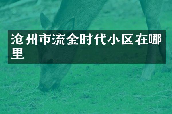 沧州市流金时代小区在哪里