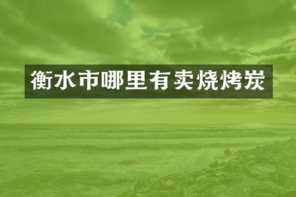 衡水市哪里有卖烧烤炭
