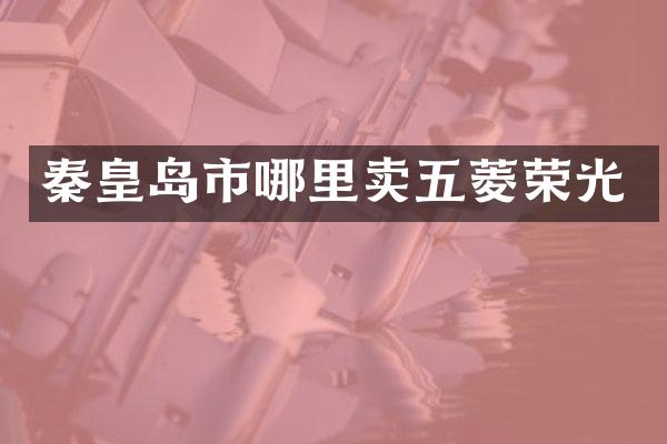 秦皇岛市哪里卖五菱荣光