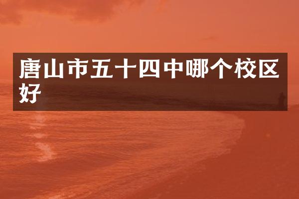 唐山市五十四中哪个校区好