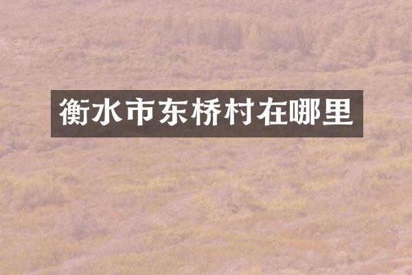 衡水市东桥村在哪里