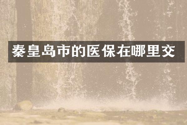 秦皇岛市的医保在哪里交