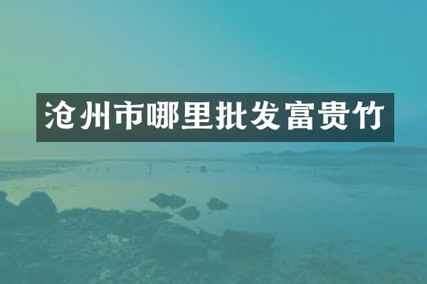 沧州市哪里批发富贵竹