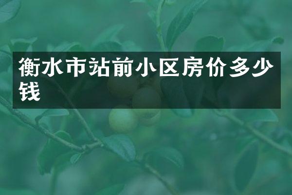 衡水市站前小区房价多少钱