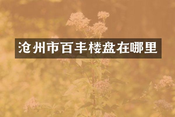 沧州市百丰楼盘在哪里