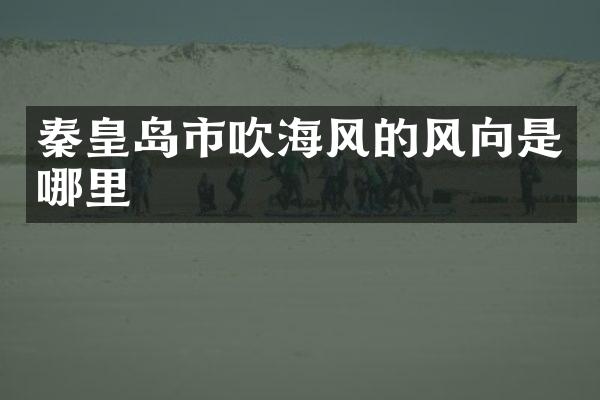 秦皇岛市吹海风的风向是哪里