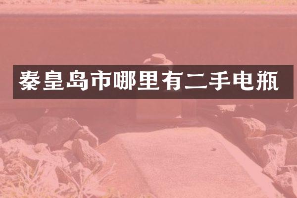 秦皇岛市哪里有二手电瓶