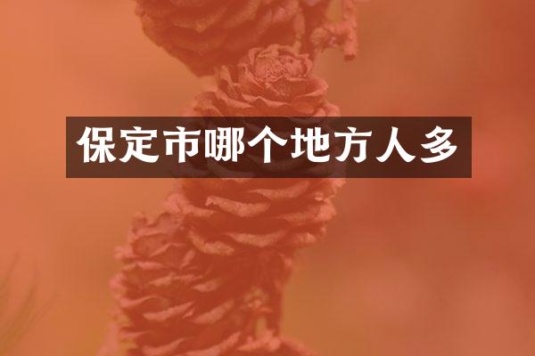 保定市哪个地方人多