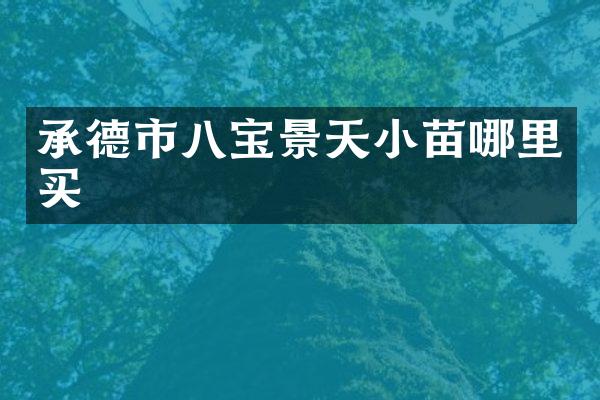 承德市八宝景天小苗哪里买