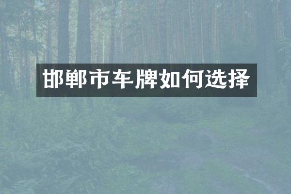 邯郸市车牌如何选择