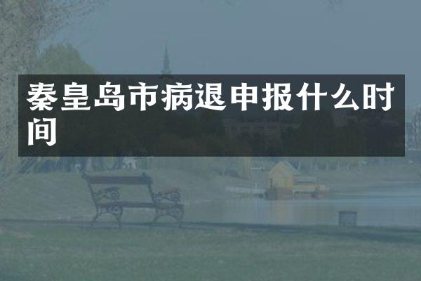 秦皇岛市申报什么时间