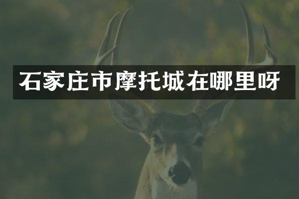 石家庄市摩托城在哪里呀