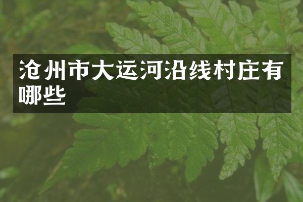 沧州市大运河沿线村庄有哪些