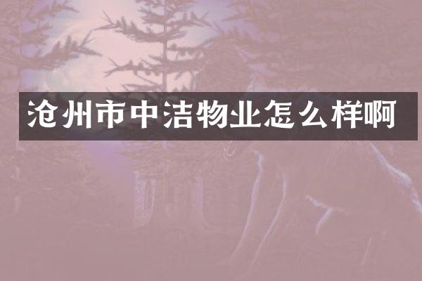 沧州市中洁物业怎么样啊