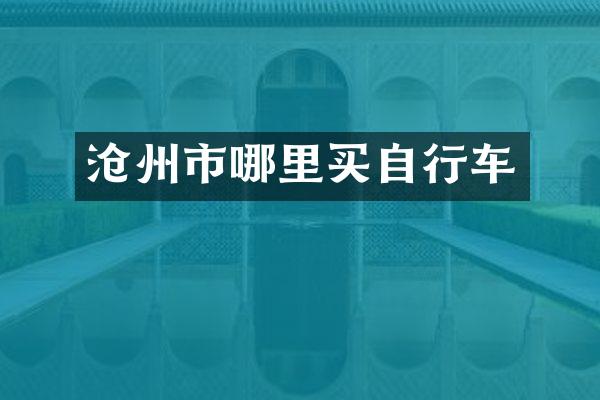 沧州市哪里买自行车