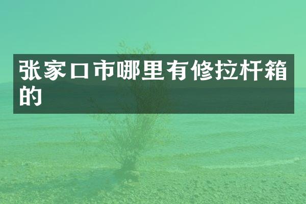 张家口市哪里有修拉杆箱的