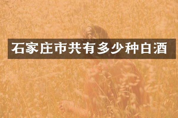 石家庄市共有多少种白酒