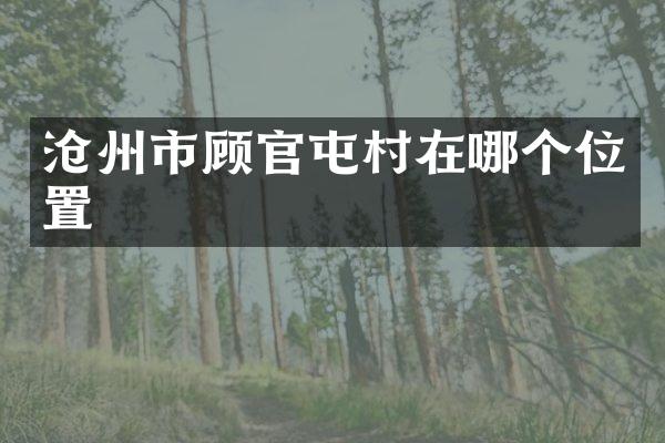 沧州市顾官屯村在哪个位置