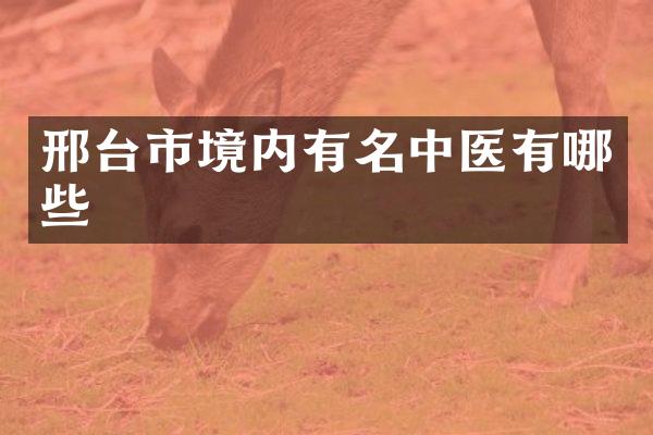邢台市境内有名中医有哪些