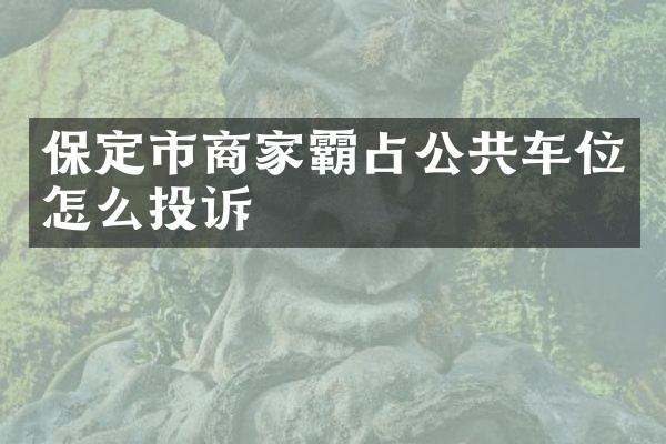 保定市商家霸占公共车位怎么投诉