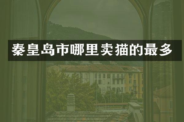 秦皇岛市哪里卖猫的最多
