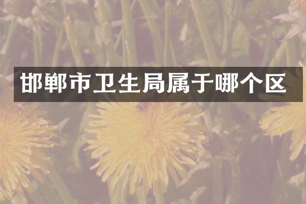 邯郸市卫生局属于哪个区