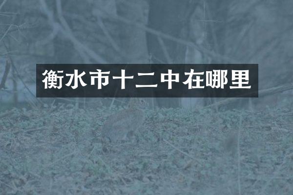 衡水市十二中在哪里