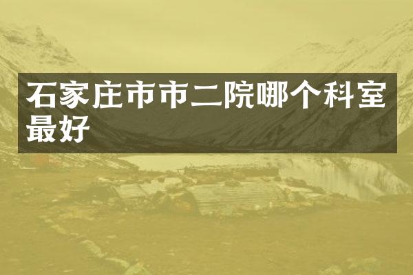 石家庄市市二院哪个科室最好