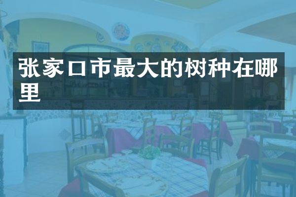 张家口市最大的树种在哪里