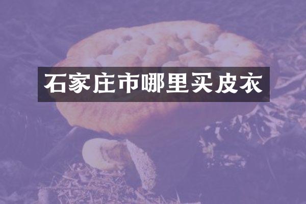 石家庄市哪里买皮衣