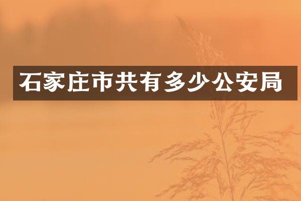 石家庄市共有多少公安局