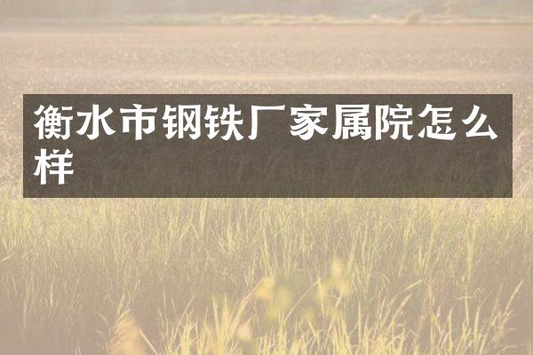衡水市钢铁厂家属院怎么样
